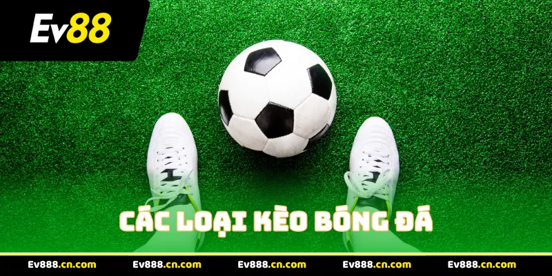  Khái Quát Về Các Loại Kèo Bóng Đá